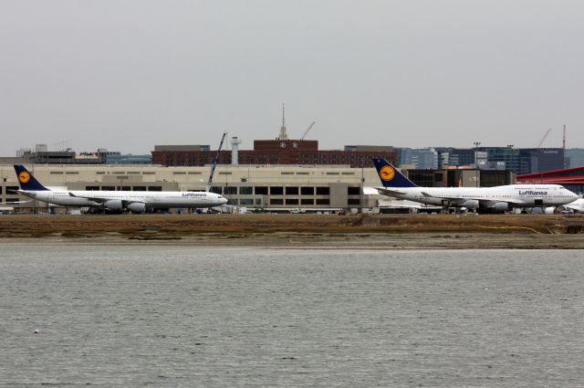 Boeing 747-400 (D-ABTK) - Both Lufthansa's aircraft were JFK diversion to BOS on 2/16/23. 