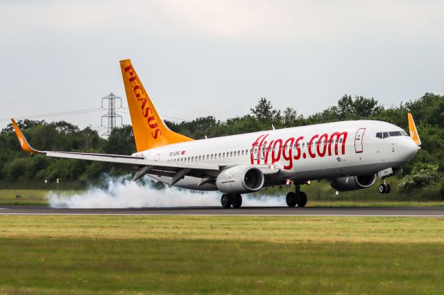 Boeing 737-800 (TC-CPC) - PGT1181 arriving from Istanbul SAW