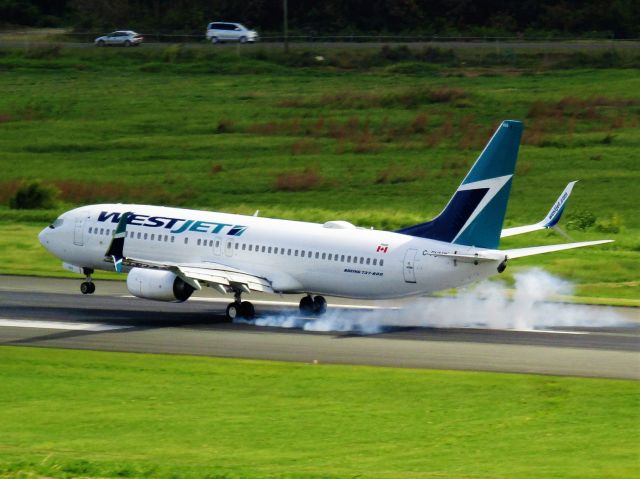 Boeing 737-800 (C-FUMF)