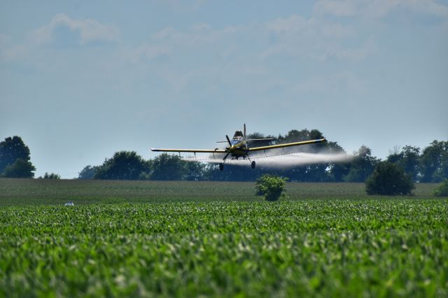 N5196T — - Bean field Royal Lakes, IL 7/24/20