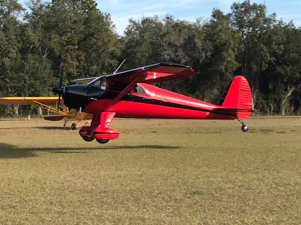 TEMCO Silvaire (N28412) - Pretty Luscombe 8A at the breakfast fly-in 1/19/19