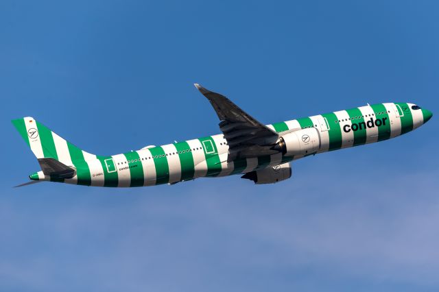 Airbus A330-900 (D-ANRA)