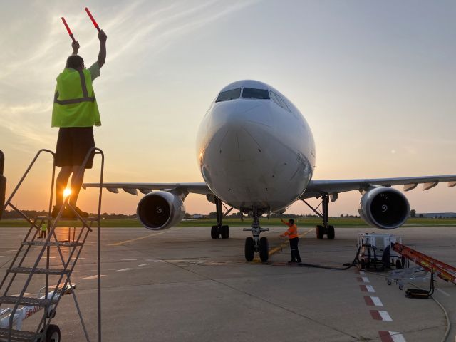 Airbus A300F4-600 (N732FD) - Marshaling the Fargo Flight No. 325 during the Autumn Golden Hour.