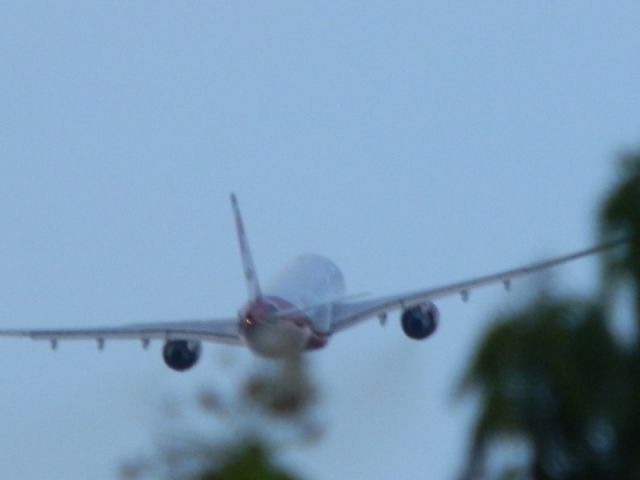 Airbus A330-200 (D-ALPI) - A squirrel;s eye view!