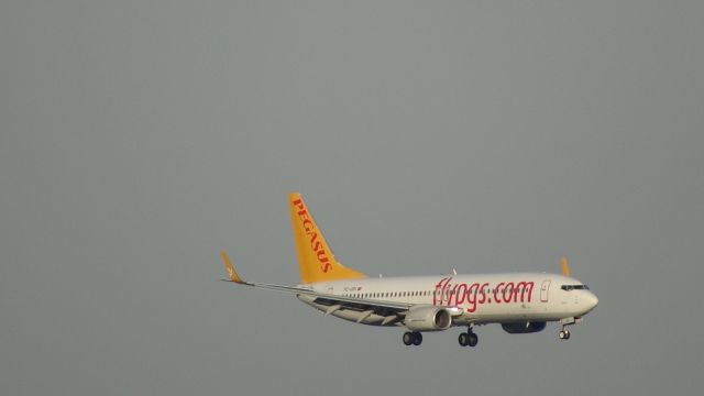 Boeing 737-800 (TC-CPI)