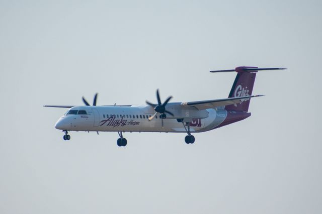 de Havilland Dash 8-400 (N402QX) - QXE2643 "University of Montana Livery"