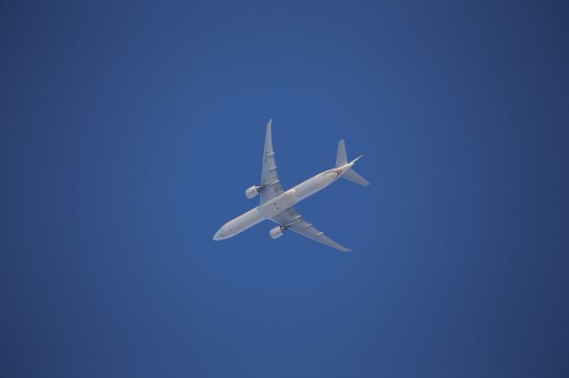 BOEING 777-300ER (A6-ETS)