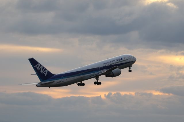 BOEING 767-300 (JA8322) - 05 November 2015:HKD-HND.