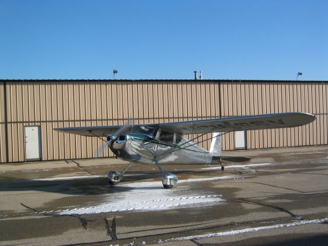 Cessna 140 (N1695V) - All 85 horsies fired up!