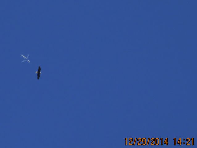 Airbus A320 (N662JB) - Jet Blue flight 514 from LGB to JFK over Southeastern Kansas at 35,000 feet with a Bald Eagle flying in the frame. 