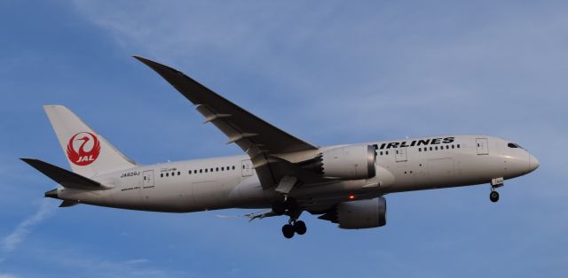 Boeing 787-8 (JA829J)