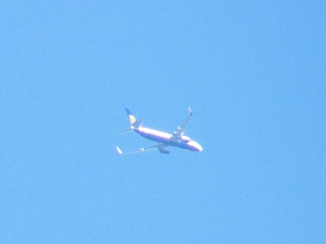 EI-DLS —