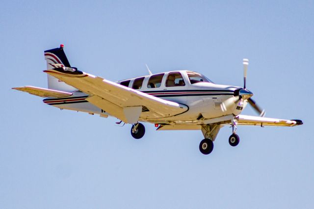 Beechcraft Bonanza (36) (N51WP)