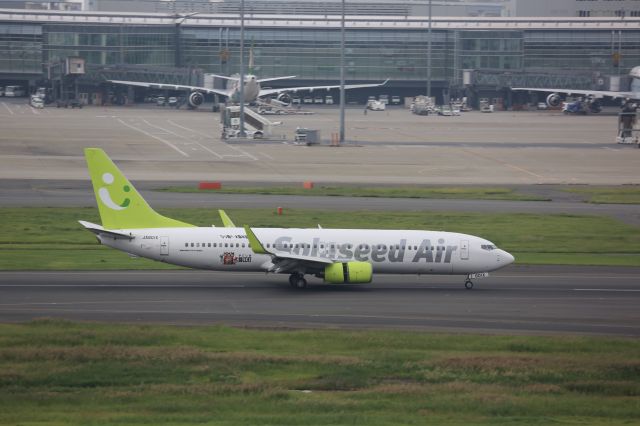 Boeing 737-800 (JA801X)