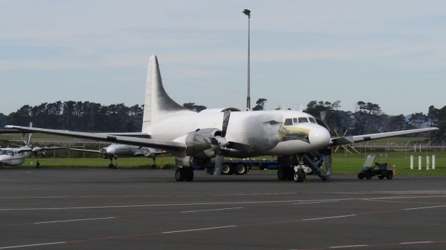 CONVAIR CV-580 (ZK-KFL) - The 'Toroa Freighter' on the Air Chathams ramp.