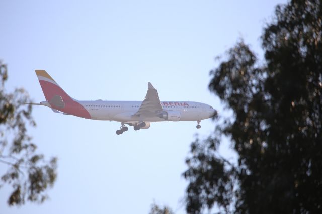 Airbus A330-200 (EC-MLB)