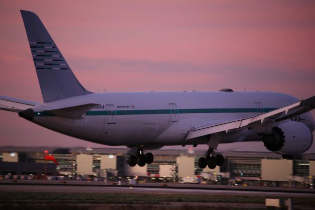 Boeing 787-8 (JA824J)
