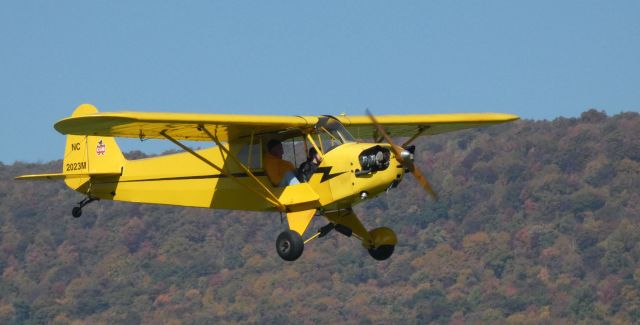 Piper NE Cub (N2023M) - On short final from a Pumpkin bombing mission is this 1946 Taylorcraft Piper J3C-65 Cub in the Autumn of 2022.