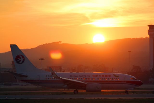 Boeing 737-800 (B-5256)