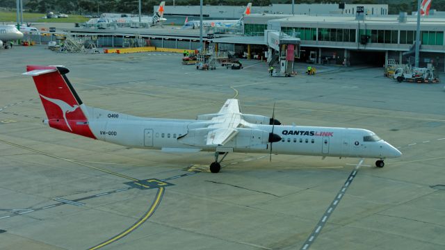 de Havilland Dash 8-400 (VH-QOD)