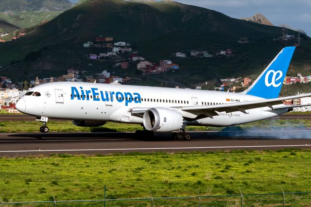 Boeing 787-8 (EC-MMX)