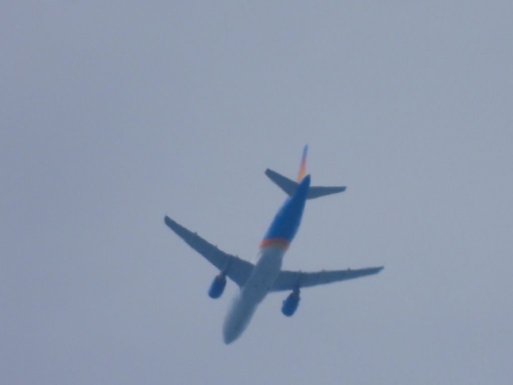 Airbus A320 (N239NV) - AAY617br /07/15/21