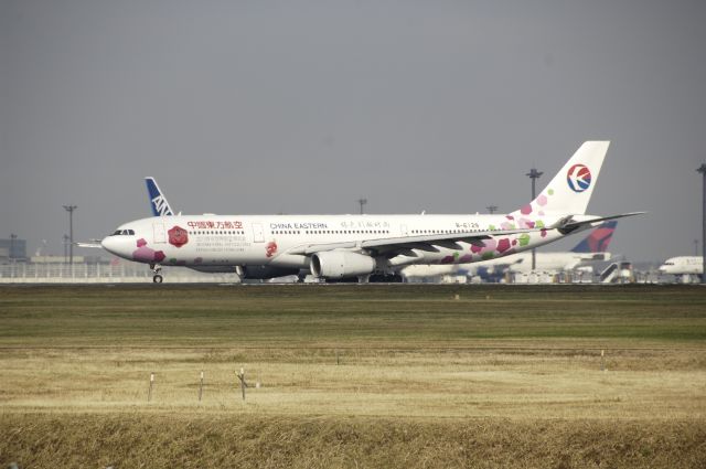 Airbus A330-300 (B-6129) - Departure at NRT Airport Runway 34L on 2011/11/23 Special c/s