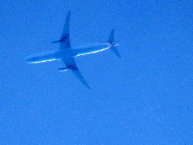 Airbus A321 (N982VJ)