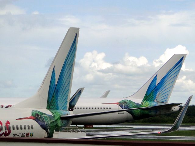 Boeing 737-800 (9Y-TAB)