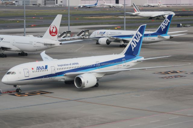 Boeing 787-8 (JA831A)