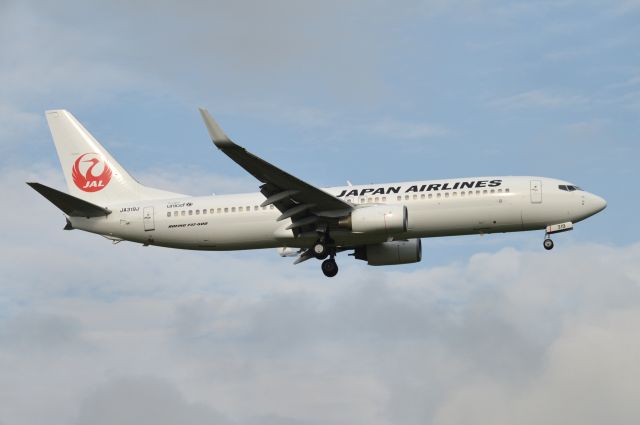 Boeing 737-800 (JA319J) - 2014-08-17