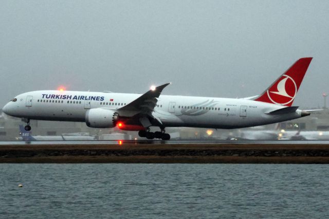 Boeing 787-9 Dreamliner (TC-LLV)