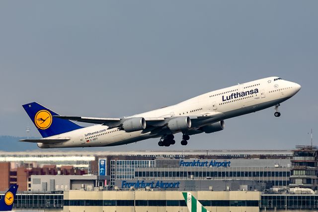 BOEING 747-8 (D-ABYI)