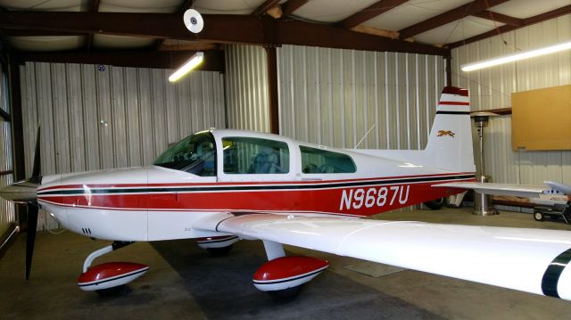 Grumman AA-5 Tiger (N9687U)
