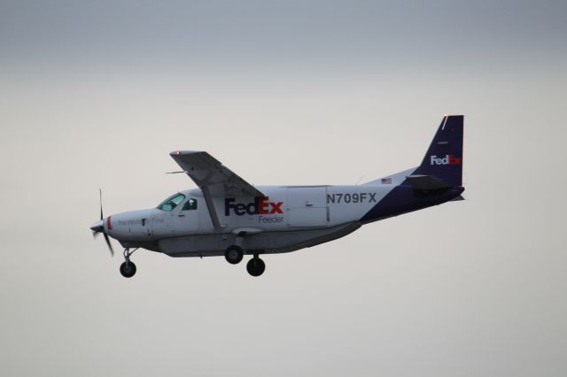 Cessna Caravan (N709FX)
