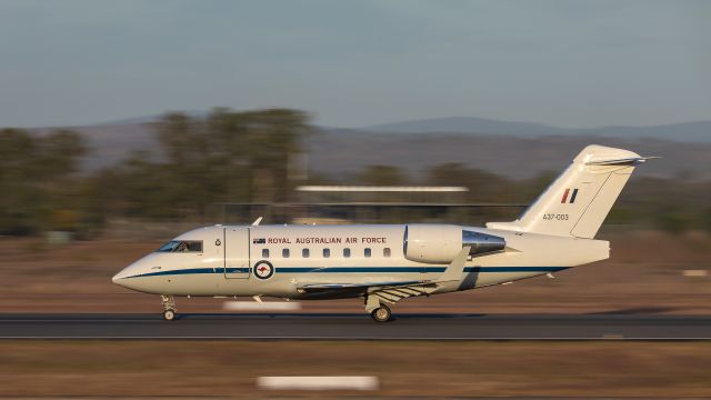 Canadair Challenger (A37003)