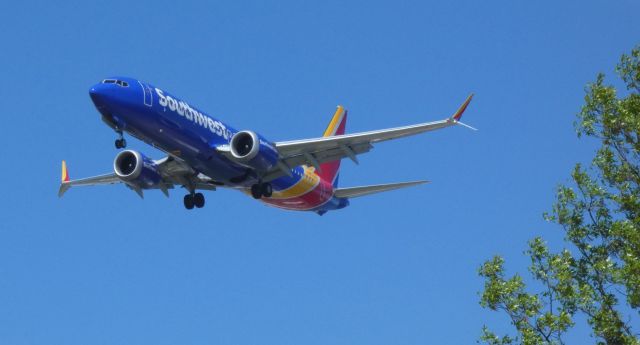 Boeing 737-800 (N8723Q) - On final is this 2018 Southwest Airlines Boeing 737-8 in the Spring of 2021.