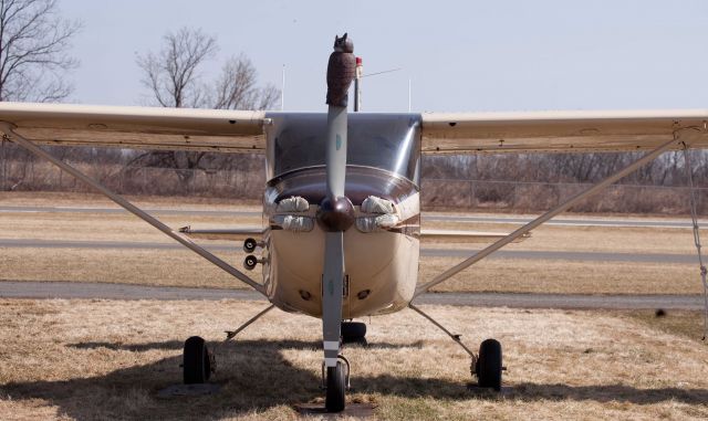 Cessna Skyhawk (N4020F) - Keeps the birds away from the bird.