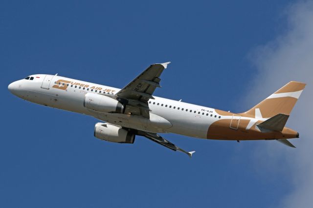 Airbus A320 (PK-SJH)