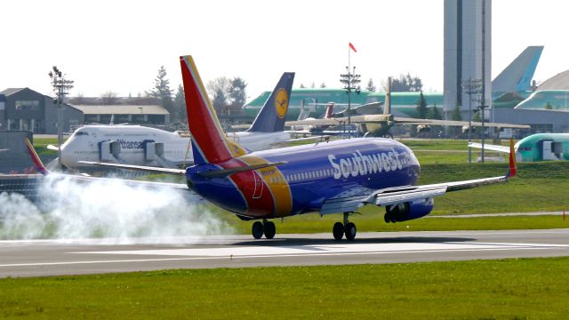 BOEING 737-300 (N644SW) - SWA8700 from KDAL makes tire smoke on landing Rwy 16R on 3/18/15. (ln 2869 / cn 28329).