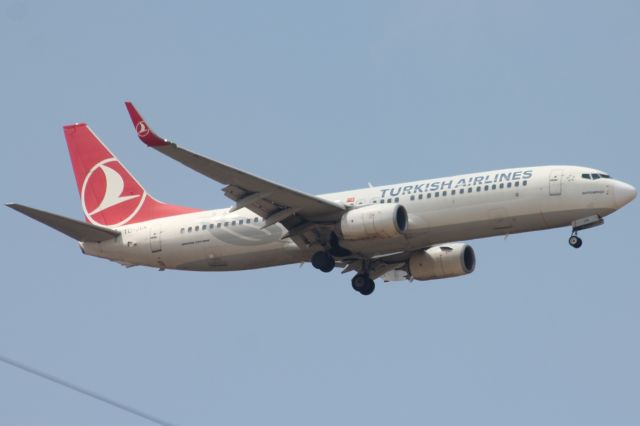 Boeing 737-800 (TC-JVK)