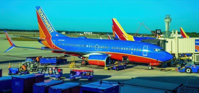 Boeing 737-700 (N295WN) - N295WN Southwest Airlines 2007 Boeing 737-7H4 - cn 32541 / 2409 - Southwest Florida International Airport (KRSW)br /Fort Myers, Floridabr /Photo: TDelCorobr /December 18, 2020