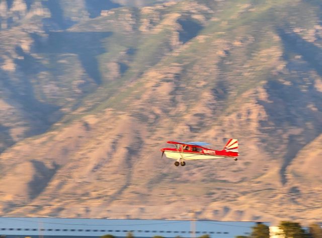 CHAMPION Decathlon (N411Y)
