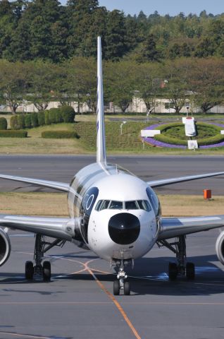 BOEING 767-300 (JA606A) - 2011/4/24