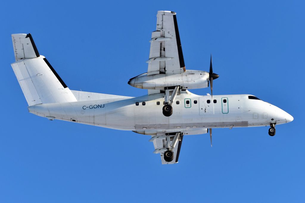 C-GONJ — - GO New Jersey! 23-R 02-16-21