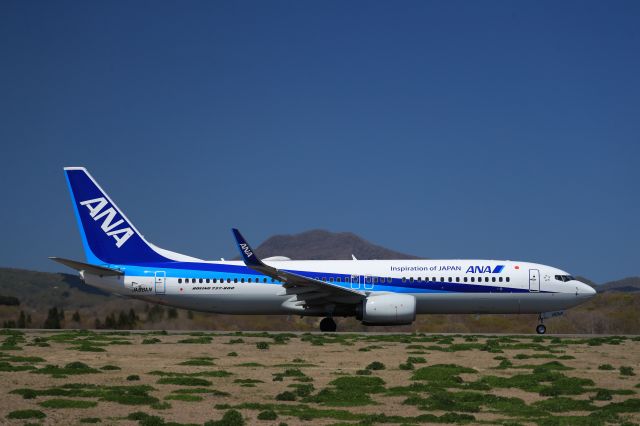 Boeing 737-800 (JA88AN) - May 12th 2019:HKD-ITM.