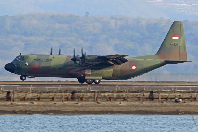 Lockheed C-130 Hercules (A1328)