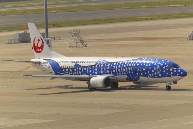 BOEING 737-400 (JA8939) - Blue Whale shark "Jinbei Same" Color 