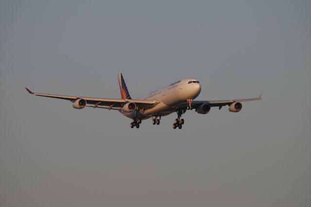 Airbus A340-300 (RP-C3434) - This p.m. arrival to 24R is lit up nicely!