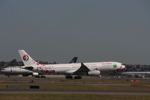 Airbus A330-300 (B-6129)